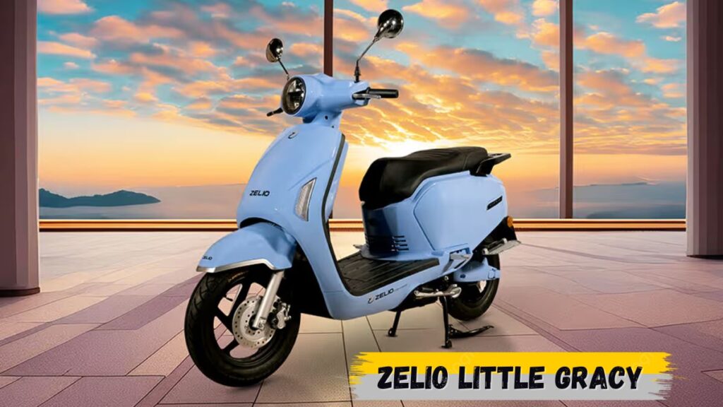 Zelio Little Gracy